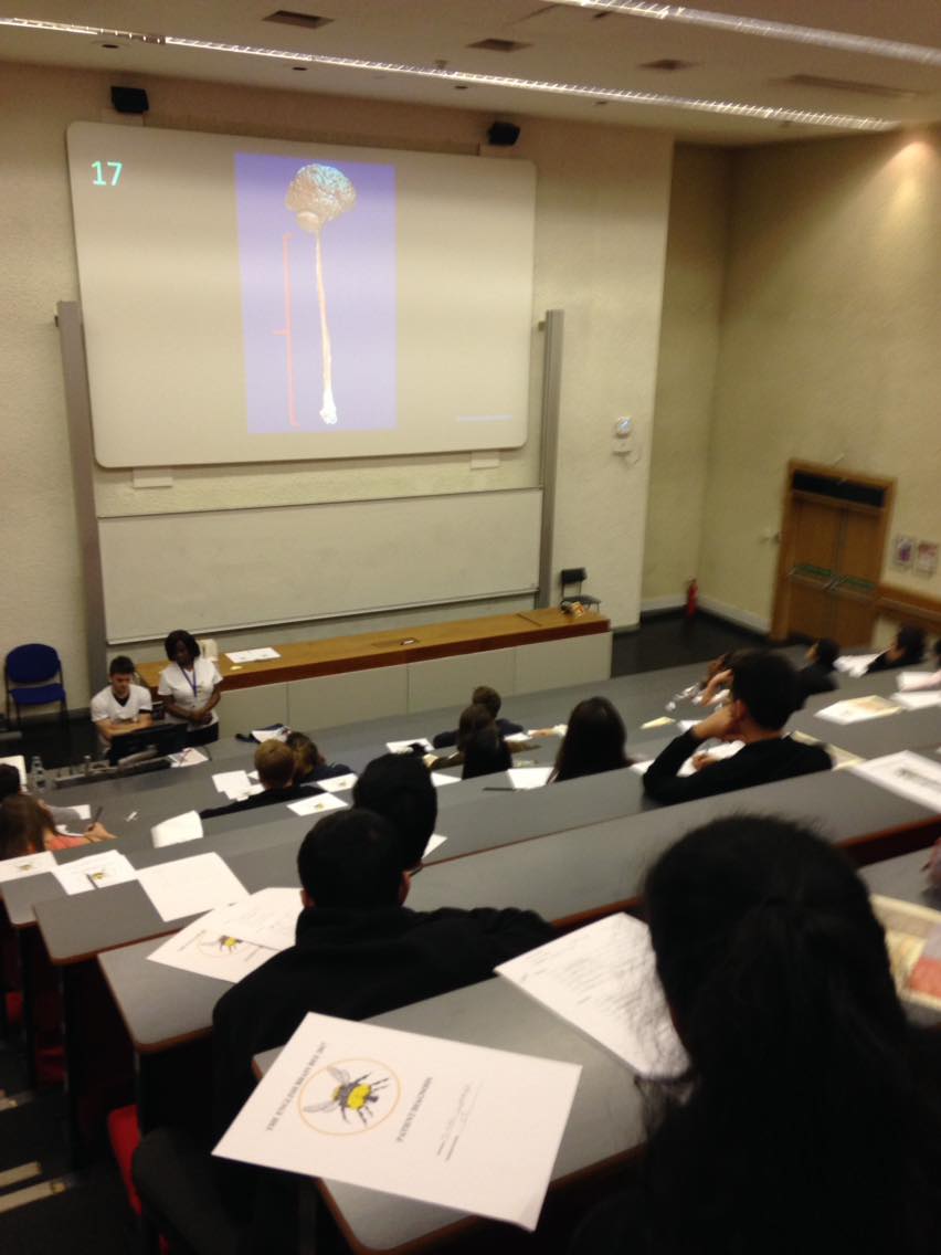 National British Brain Bee 2016