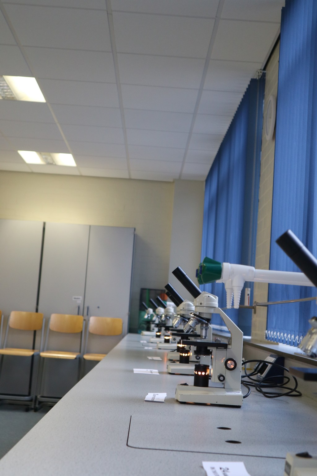 National British Brain Bee&nbsp;2018