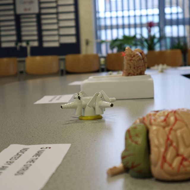 Testimonials & Videos